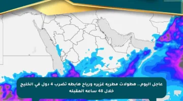 عاجل اليوم.. هطولات مطرية غزيرة ورياح هابطة تضرب 4 دول في الخليج خلال 48 ساعة المقبلة